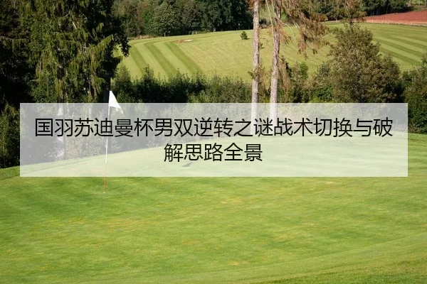 国羽苏迪曼杯男双逆转之谜战术切换与破解思路全景